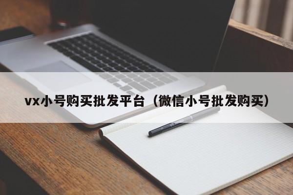 vx小号购买批发平台（微信小号批发购买）