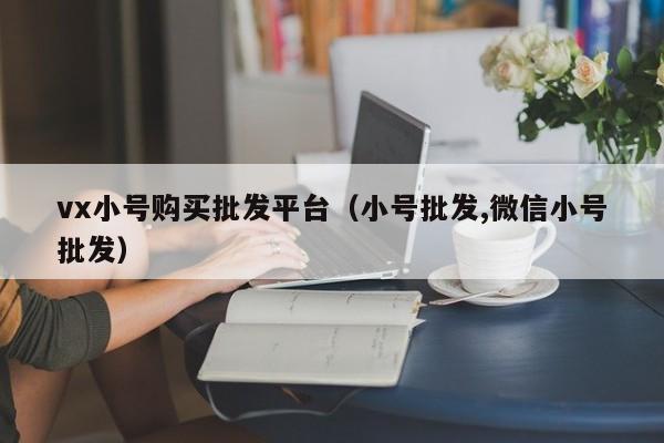 vx小号购买批发平台（小号批发,微信小号批发）