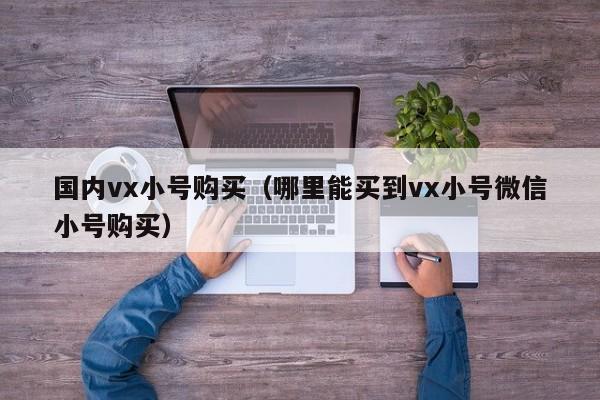 国内vx小号购买（哪里能买到vx小号微信小号购买）