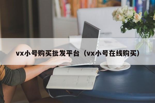 vx小号购买批发平台（vx小号在线购买）