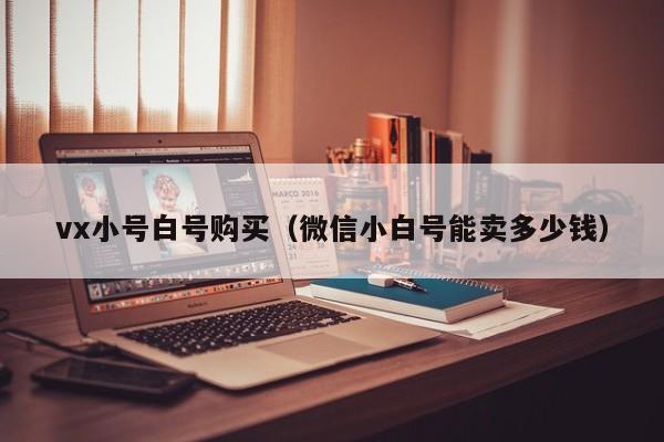 vx小号白号购买（微信小白号能卖多少钱）