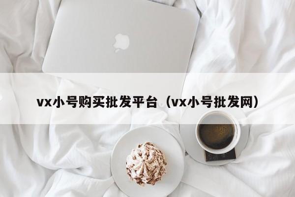 vx小号购买批发平台（vx小号批发网）