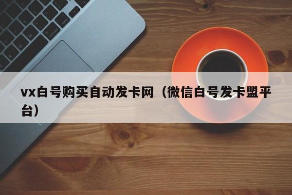 vx白号购买自动发卡网（微信白号发卡盟平台）