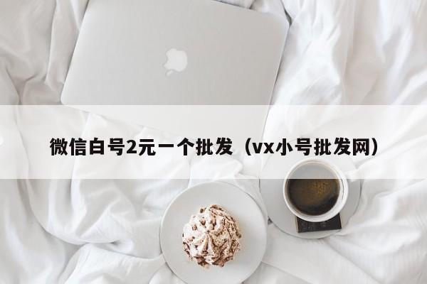 微信白号2元一个批发（vx小号批发网）