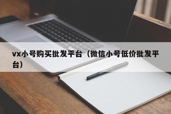 vx小号购买批发平台（微信小号低价批发平台）