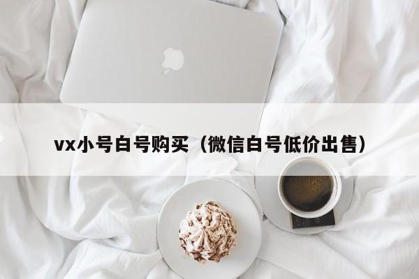 vx小号白号购买（微信白号低价出售）