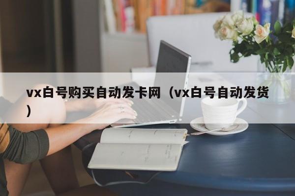 vx白号购买自动发卡网（vx白号自动发货）