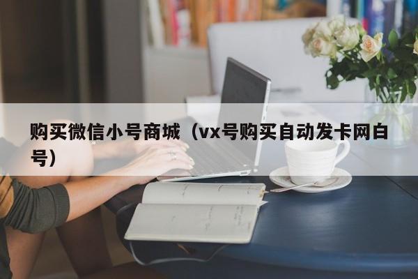 购买微信小号商城（vx号购买自动发卡网白号）