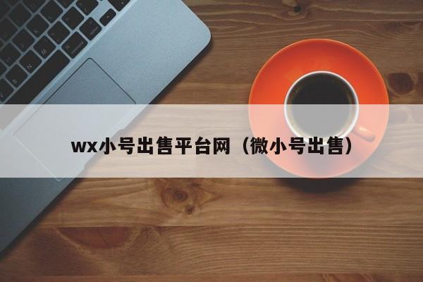 wx小号出售平台网（微小号出售）