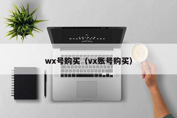 wx号购买（vx账号购买）