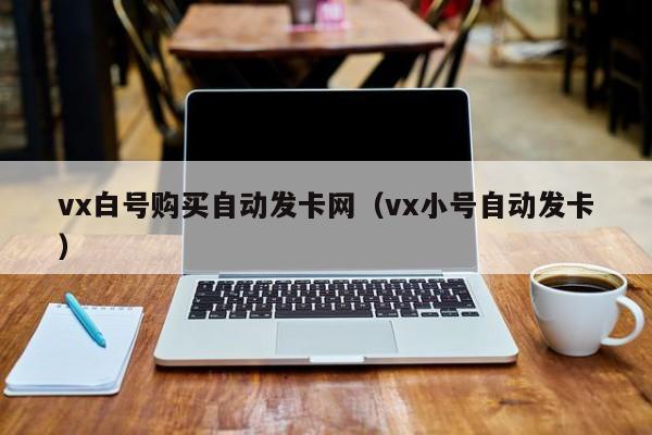 vx白号购买自动发卡网（vx小号自动发卡）