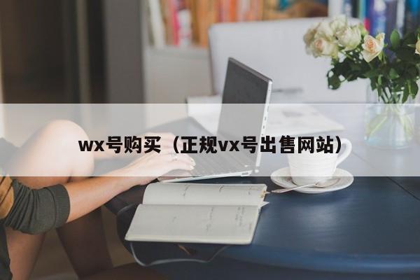 wx号购买（正规vx号出售网站）