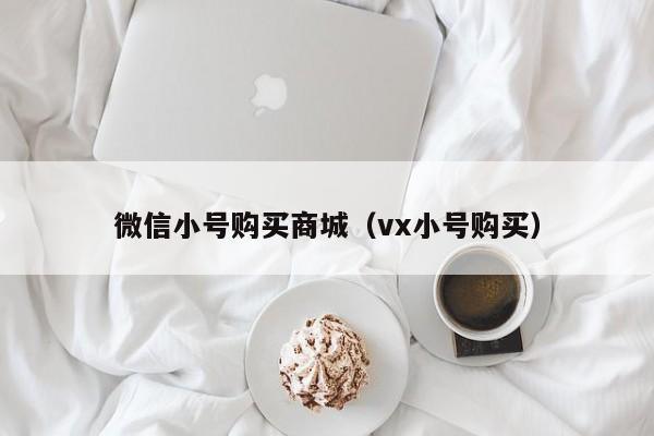 微信小号购买商城（vx小号购买）